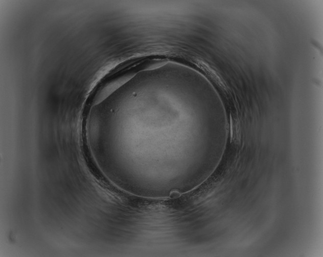 X0000093580483200710151148