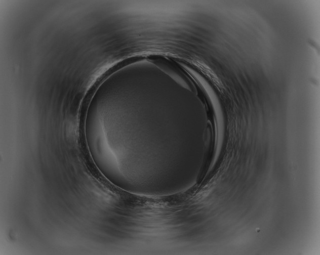 X0000093580484200710151148