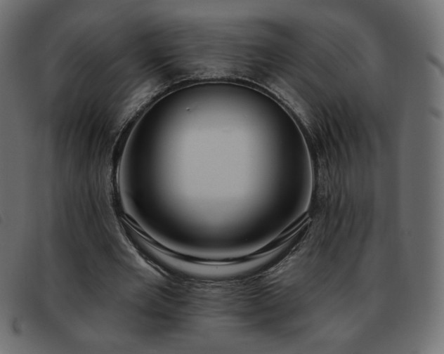 X0000093580485200710151148