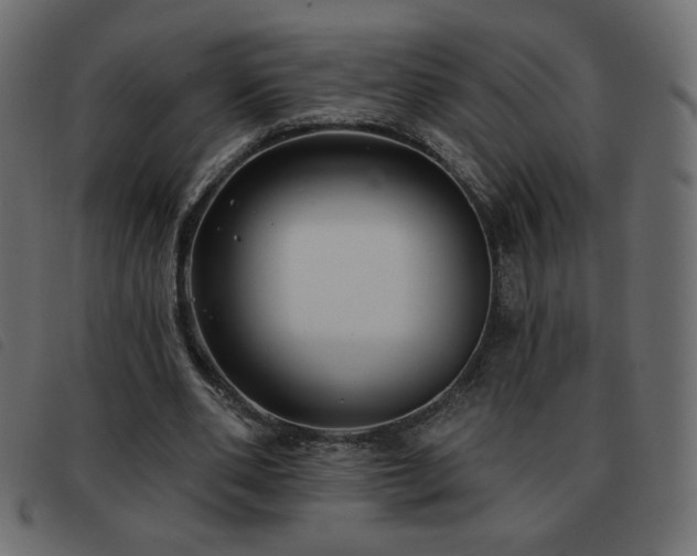 X0000093580486200710151148