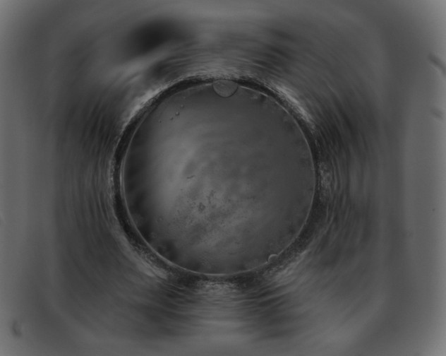 X0000093580487200710151148