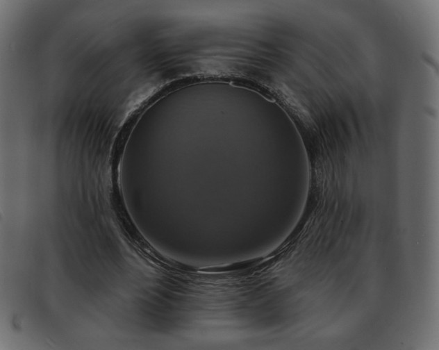 X0000093580488200710151148