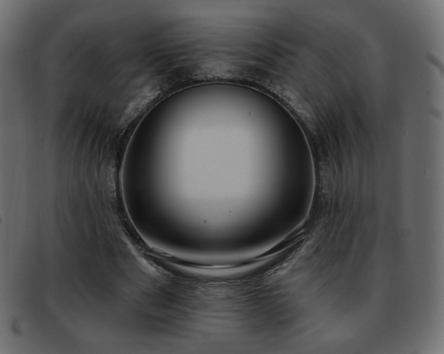 X0000093580489200710151148