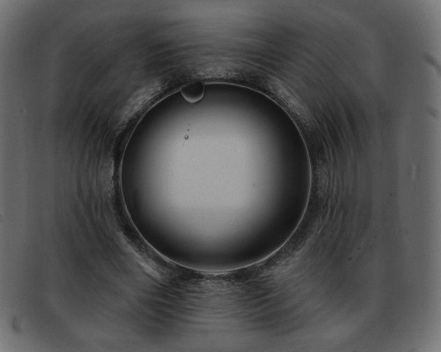 X0000093580490200710151148