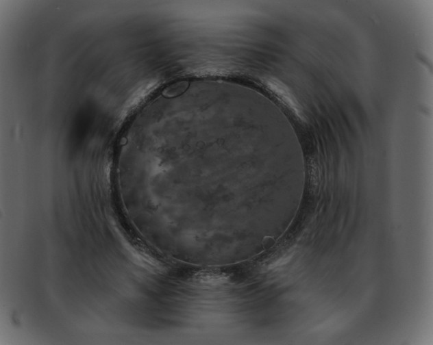 X0000093580491200710151148