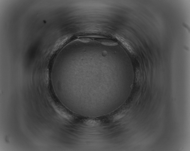 X0000093580494200710151148