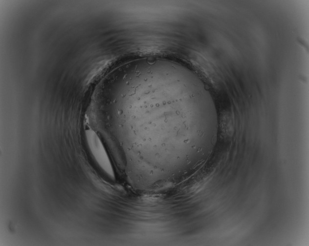 X0000093580495200710151148