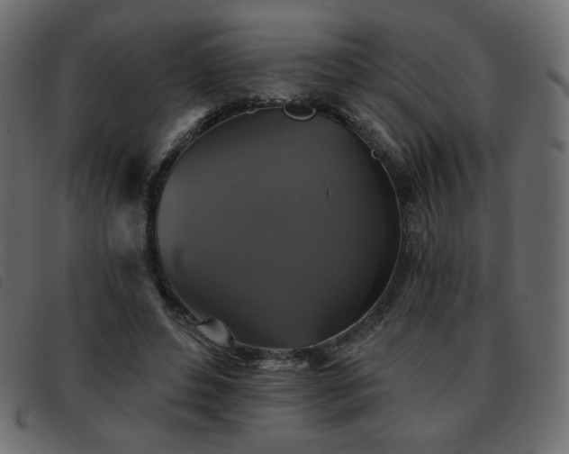 X0000093580496200710151148
