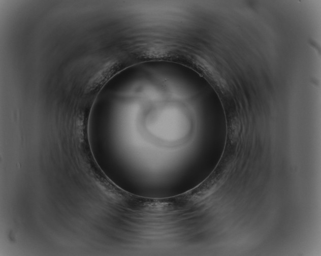 X0000093580497200710151148