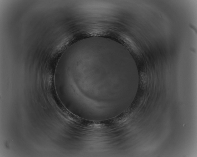 X0000093580499200710151148