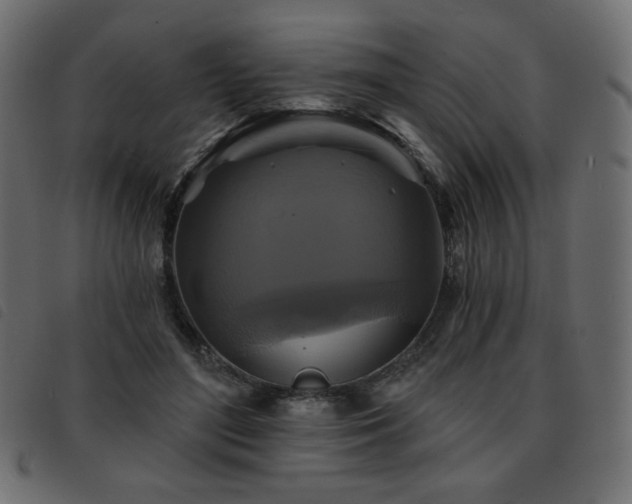 X0000093580500200710151148