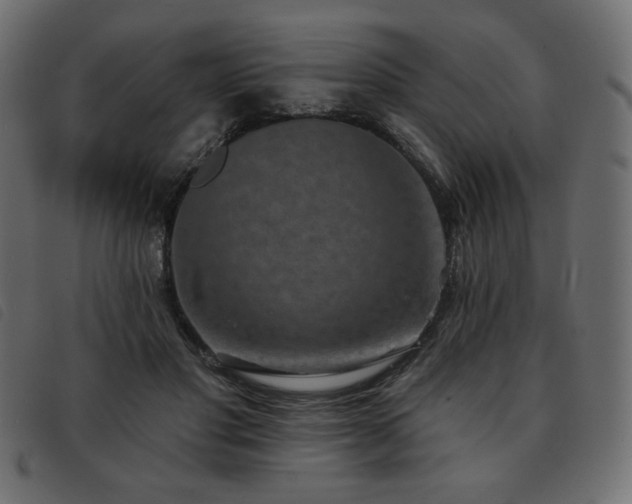 X0000093580501200710151148