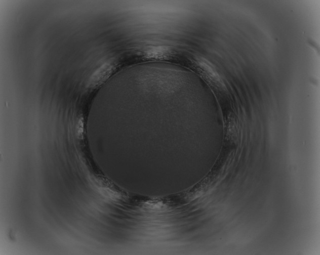 X0000093580502200710151147