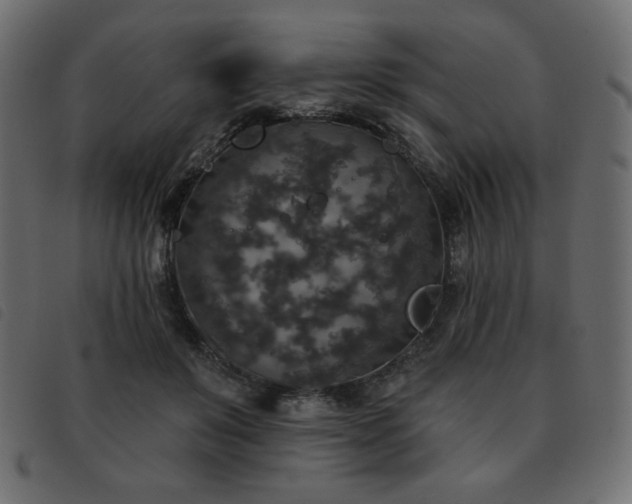 X0000093580503200710151147