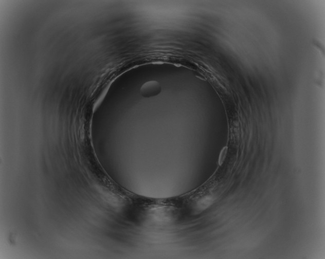 X0000093580504200710151147