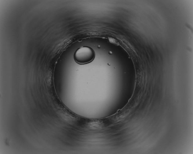 X0000093580505200710151147