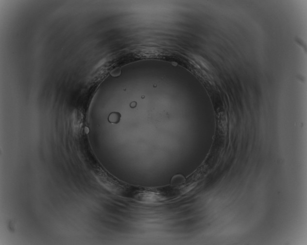 X0000093580507200710151147