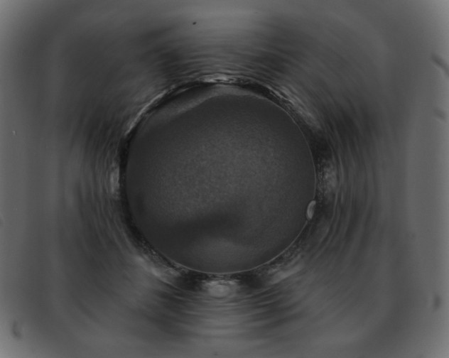 X0000093580508200710151147