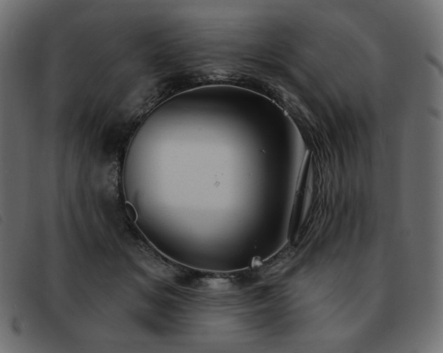 X0000093580509200710151147