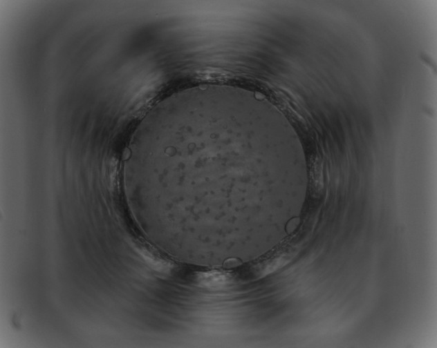 X0000093580511200710151147