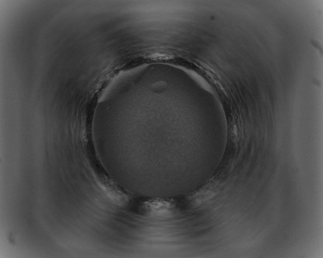 X0000093580512200710151147