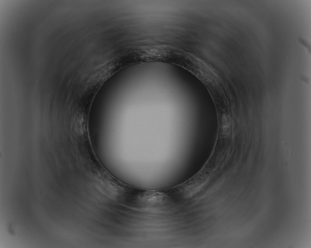 X0000093580514200710151147