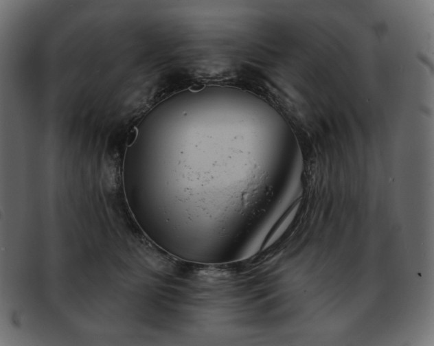 X0000093580515200710151147