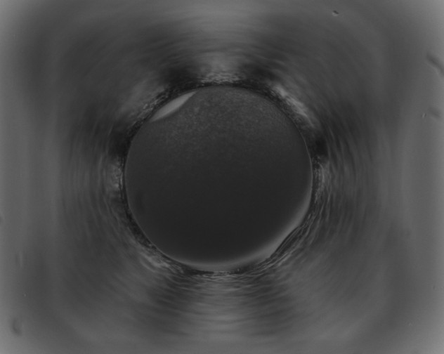 X0000093580517200710151147