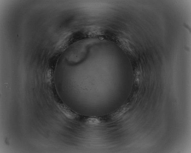 X0000093580519200710151147