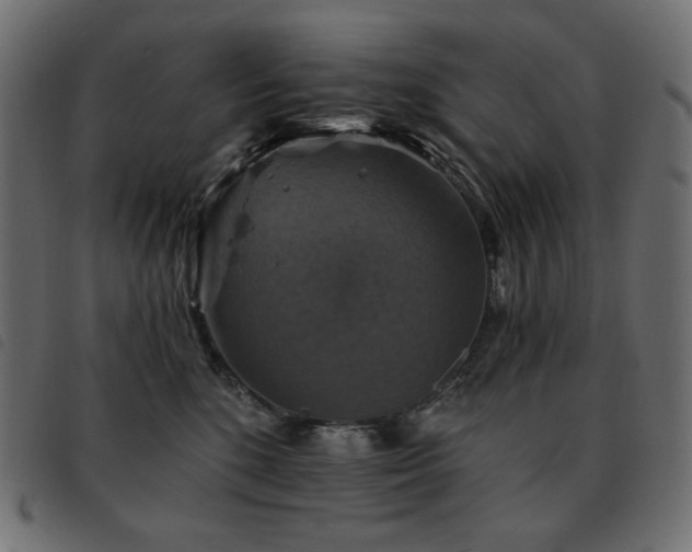 X0000093580520200710151147