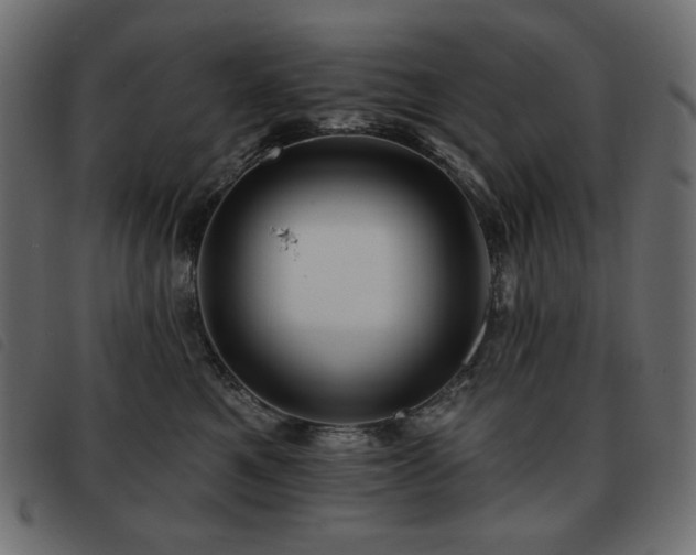 X0000093580521200710151147