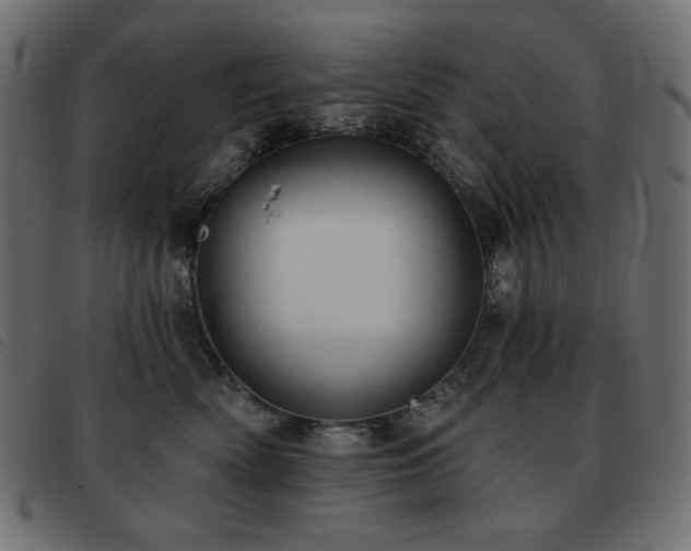 X0000093580522200710151147