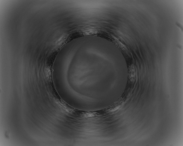 X0000093580523200710151147