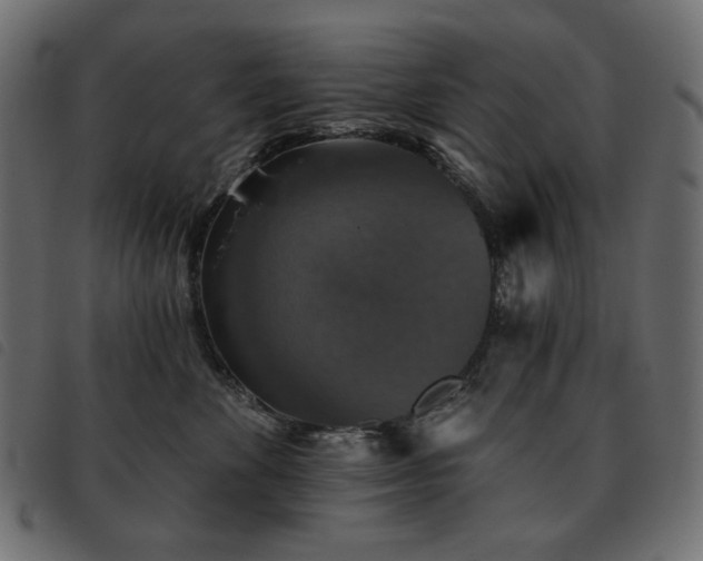 X0000093580524200710151147
