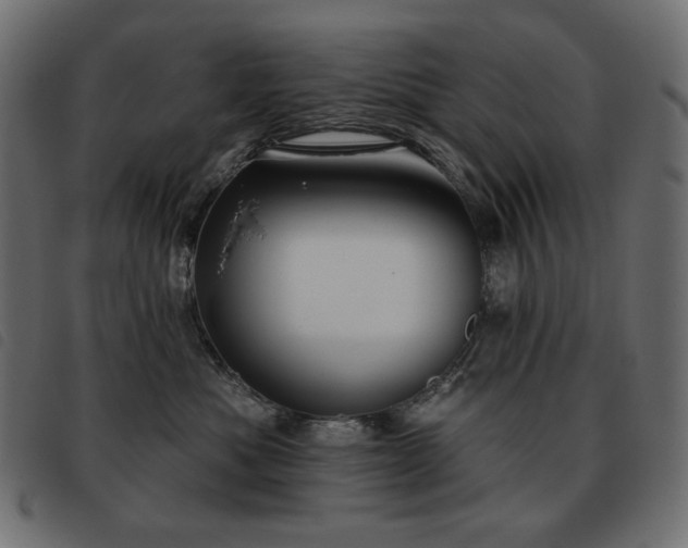 X0000093580525200710151147
