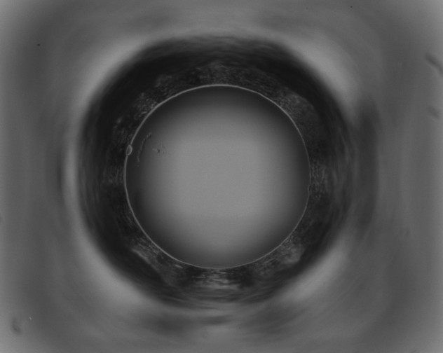 X0000093580526200710151147