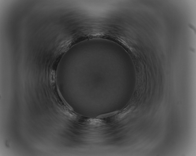 X0000093580528200710151147