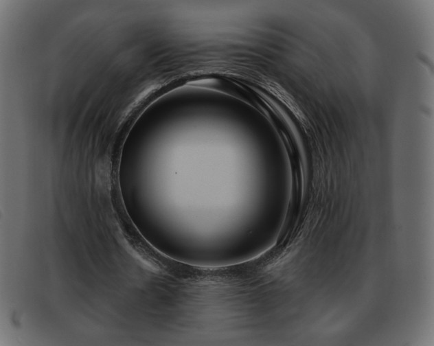X0000093580530200710151147