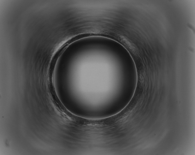 X0000093580532200710151147