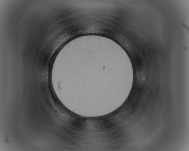 X0000093580534200710151147