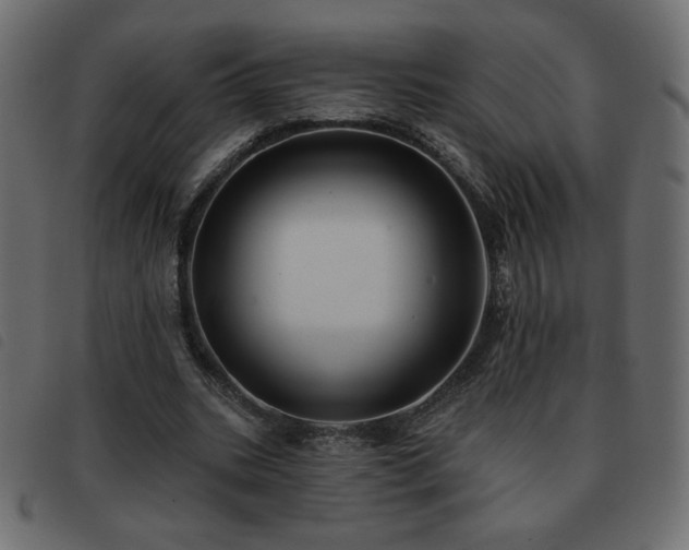 X0000093580535200710151147