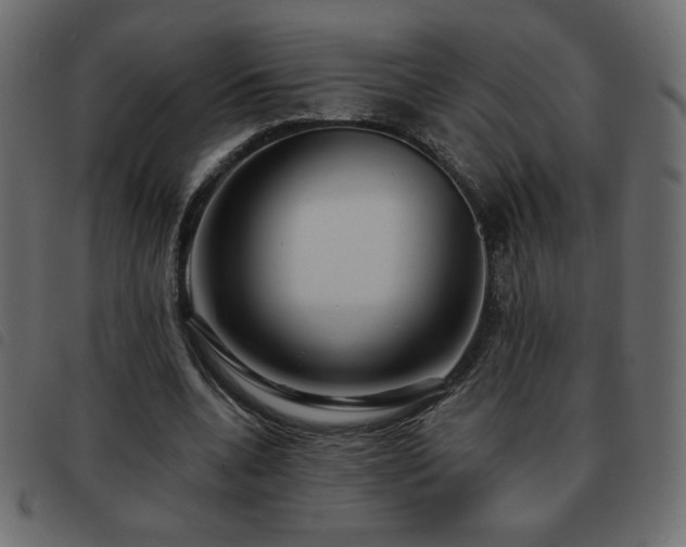 X0000093580536200710151147