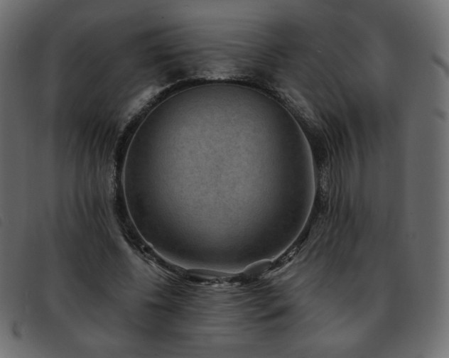 X0000093580540200710151147