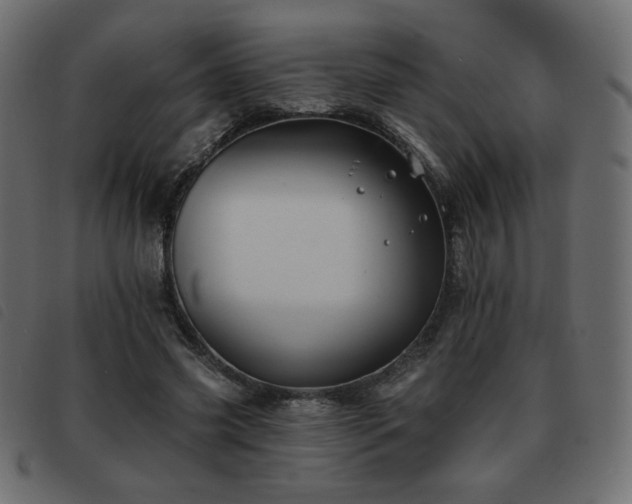 X0000093580541200710151147