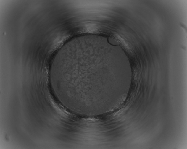 X0000093580542200710151147