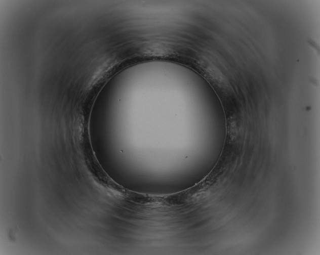 X0000093580544200710151147
