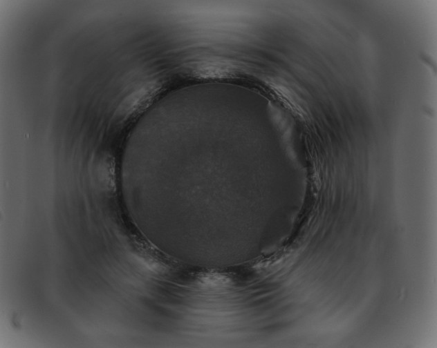 X0000093580547200710151147