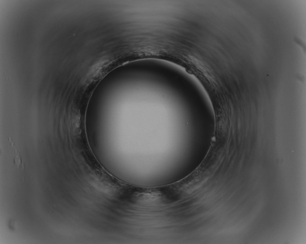 X0000093580548200710151147