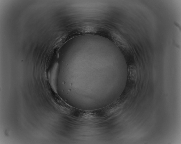 X0000093580550200710151147