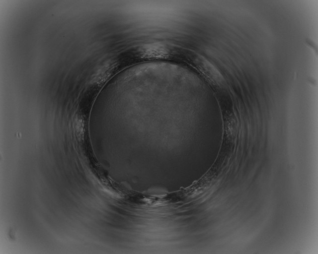 X0000093580551200710151147